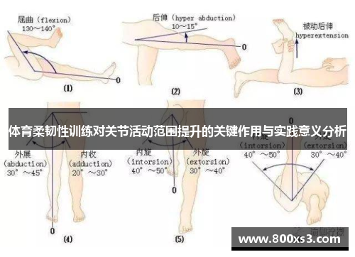 体育柔韧性训练对关节活动范围提升的关键作用与实践意义分析